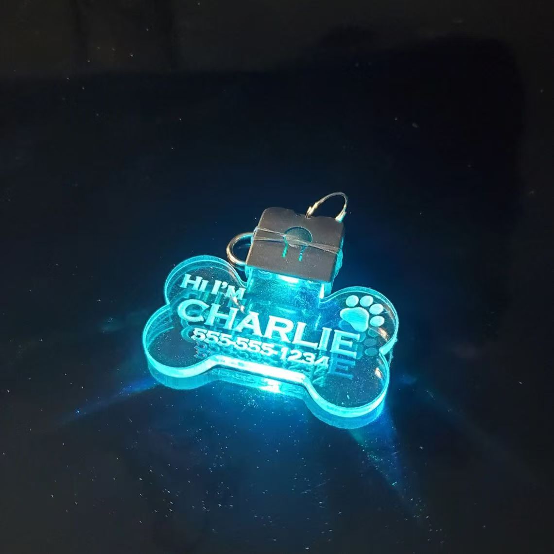 Industrial Laser Beam - Customized Laser-Engraved Acrylic LED Pet ID